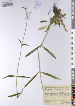 LE 01207815