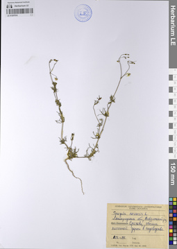 LE 01207816