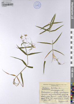 LE 01207819