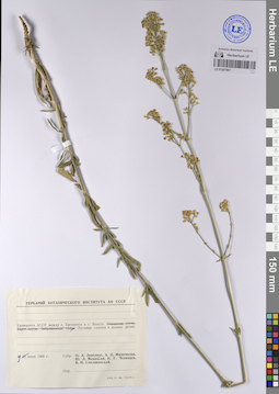 LE 01207907