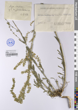 LE 01207908