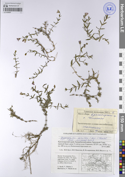 LE 01208207
