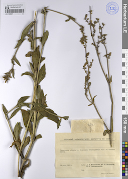 LE 01208601