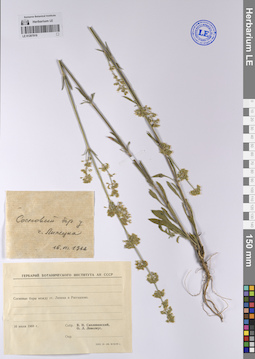 LE 01207919