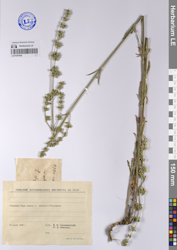 LE 01207920