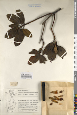 LE 01233156