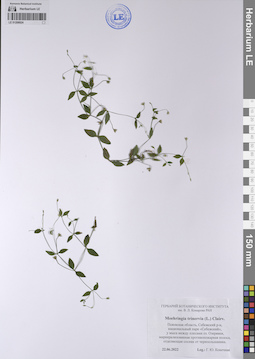 LE 01208024