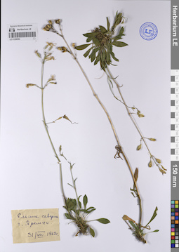 LE 01208592