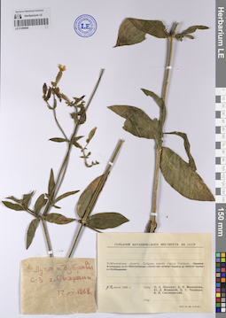 LE 01208600