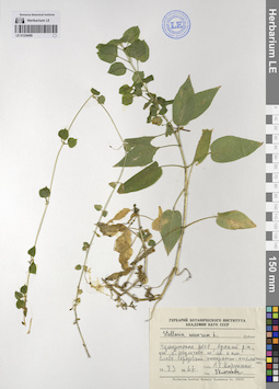 LE 01228489