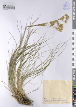 LE 01242122