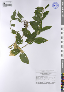 LE 01242273