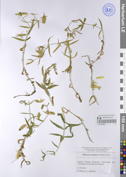 LE 01242482