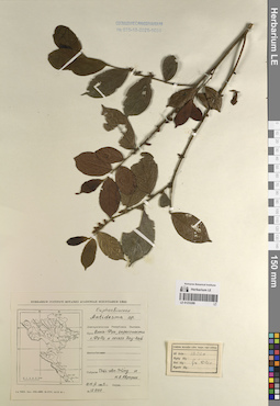 LE 01233289
