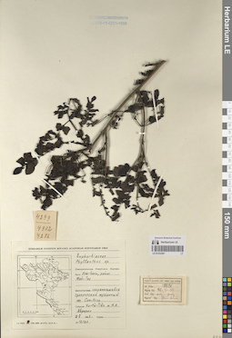 LE 01233291