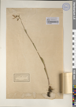 LE 01226056