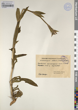 LE 01226075