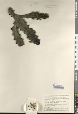 LE 01233326