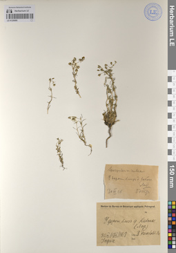 LE 01226095