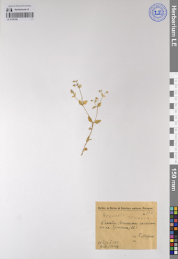 LE 01226198