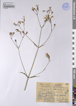 LE 01226840