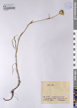 LE 01235890
