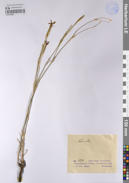 LE 01235906