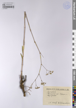 LE 01235915