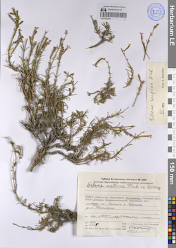 LE 01242041