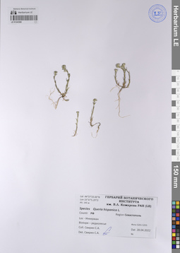 LE 01242569