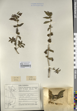 LE 01233358