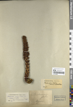 LE 01249850