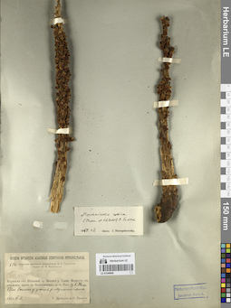 LE 01249909