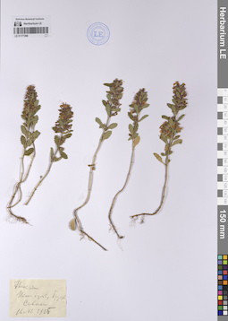 LE 01177288
