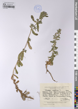 LE 01177293