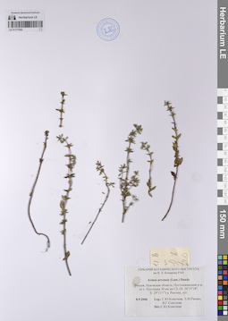 LE 01177302