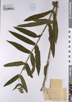 LE 01177440