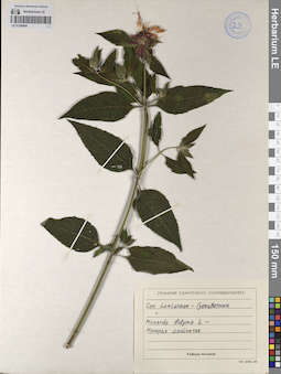 LE 01206694