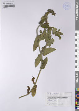 LE 01207501