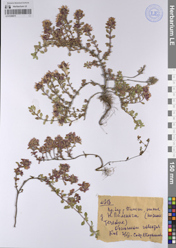 LE 01208075