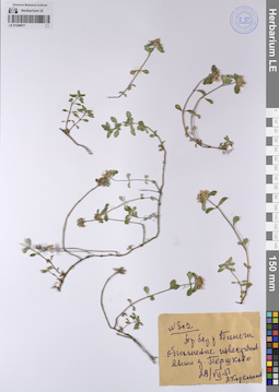 LE 01208077