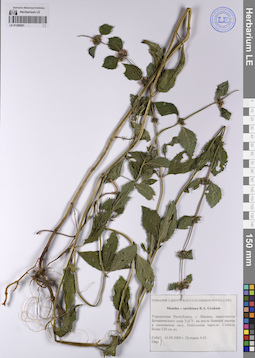 LE 01208281