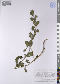 LE 01208282