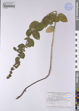 LE 01208283