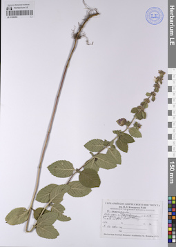 LE 01208284