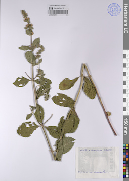 LE 01208292