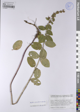 LE 01208337