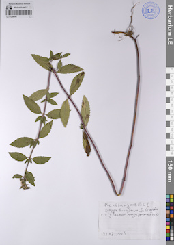 LE 01208345