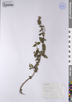 LE 01208347