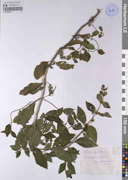 LE 01208355
